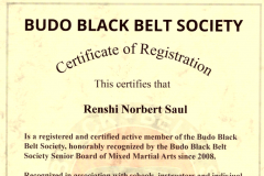 BBBS-Certificat_Renshi_Norbert_Saul